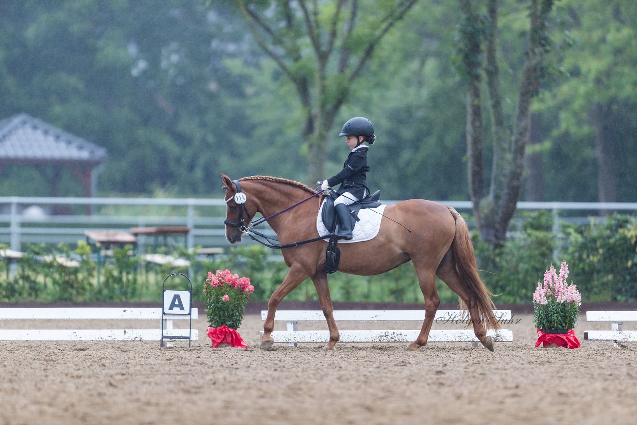 Bild 21 - Pony Akademie Turnier